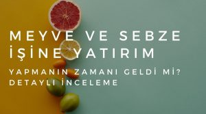 Meyve ve Sebze İşine Yatırım Yapmanın Zamanı Geldi mi Detaylı İnceleme